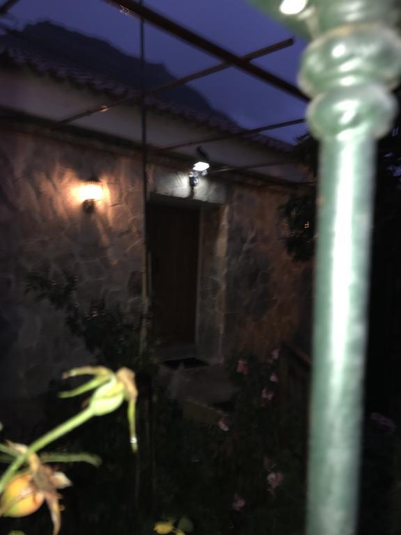Casa Elisa Canarias *